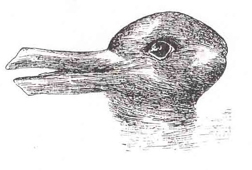 Image of a duck, or is it?  If you look at it another way, you see a rabbit.  The duck's bill makes up the rabbit's ears.  This classic optical illusion illustrates how perception creates reality.  