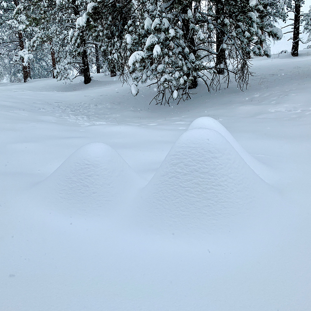 Three mysterious lumps in deep snow.  